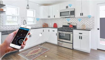 佛山 湾区厨房经济崛起，年成交套数破10万